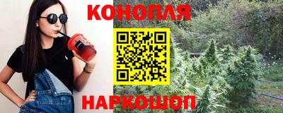 гидра Кингисепп